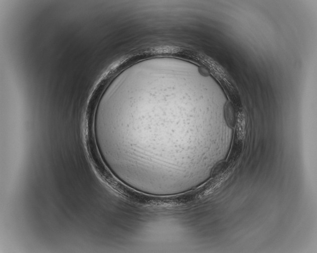 X0000113040726200909171520