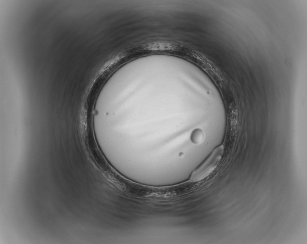 X0000113040727200909171520
