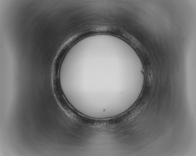 X0000113040728200909171520
