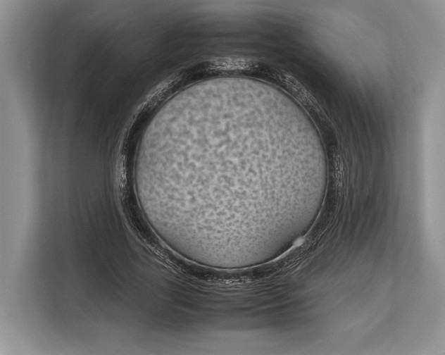 X0000113040731200909171520