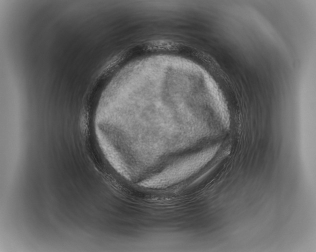X0000113040735200909171520
