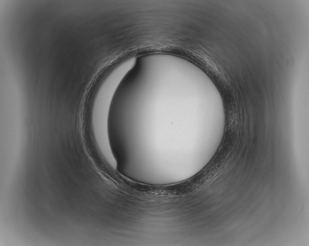 X0000113040736200909171520