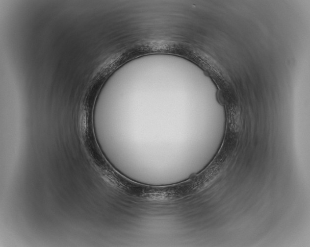 X0000113040740200909171520