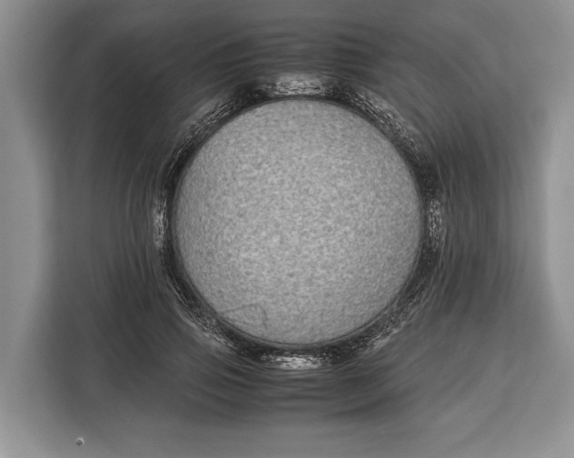 X0000113040741200909171520