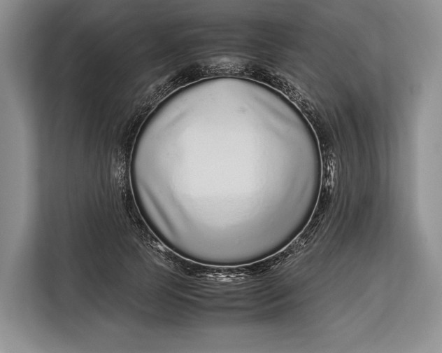 X0000113040745200909171520