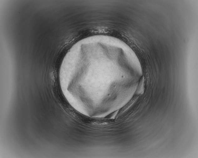 X0000113040747200909171521