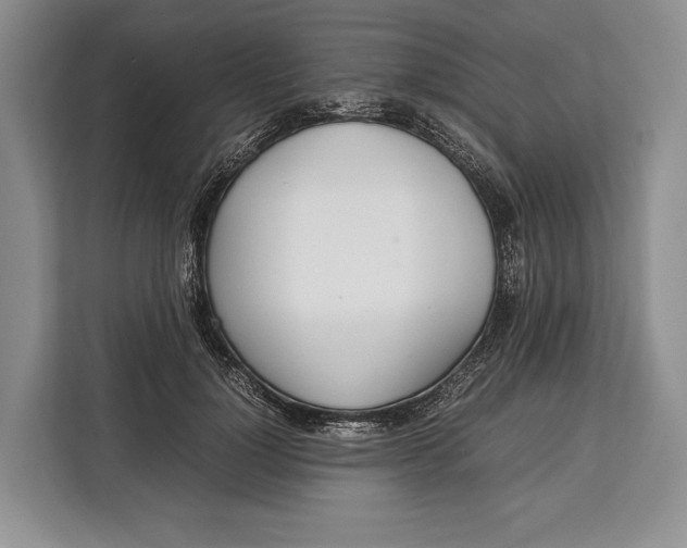 X0000113040748200909171521