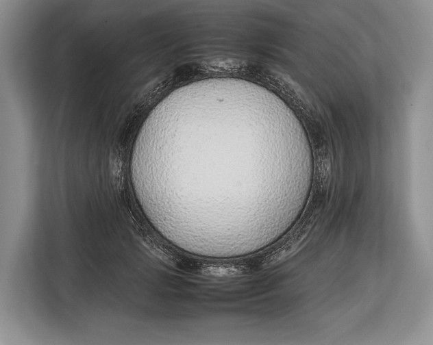 X0000113040749200909171521