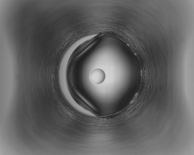 X0000113040750200909171521