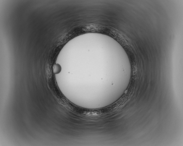 X0000113040751200909171521