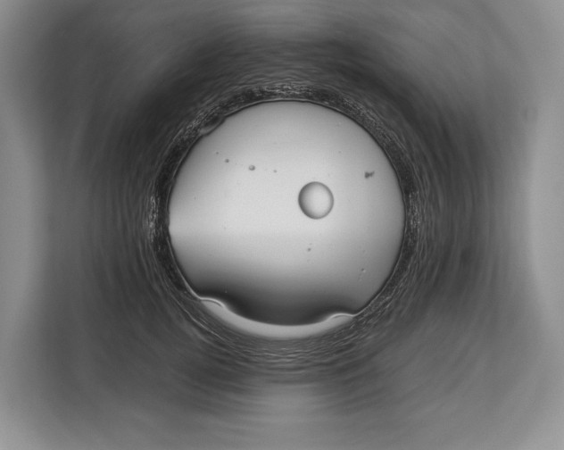 X0000113040752200909171521