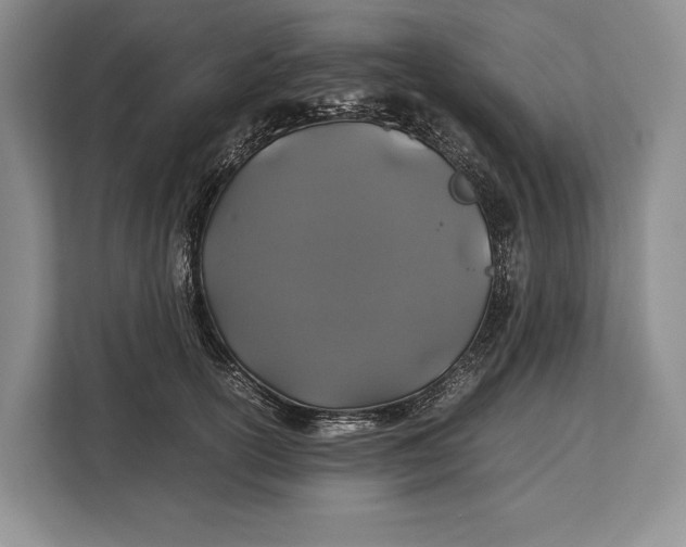 X0000113040754200909171521