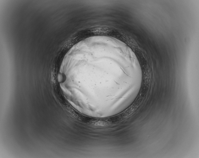 X0000113040755200909171521
