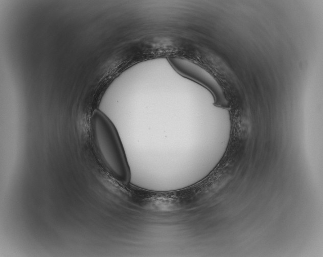 X0000113040756200909171521
