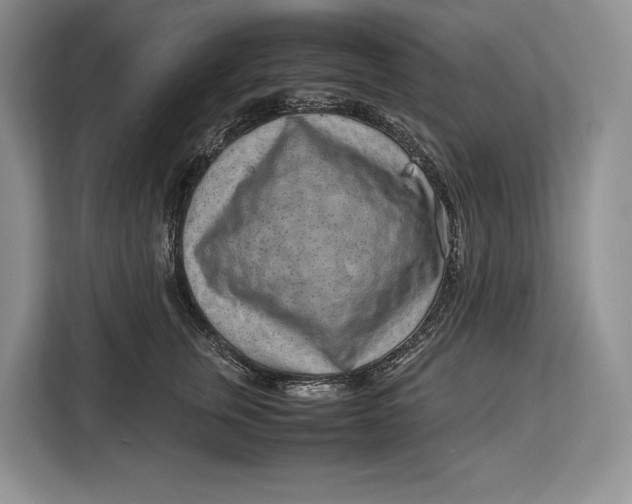 X0000113040759200909171521