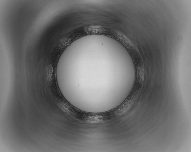 X0000113040760200909171521