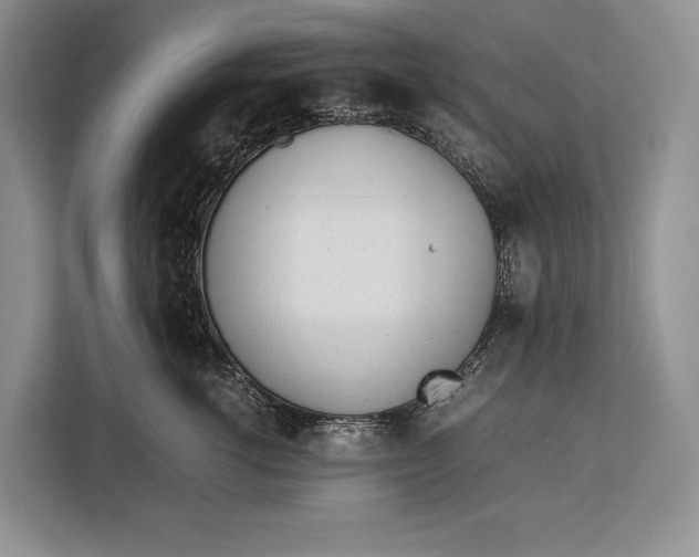 X0000113040762200909171521