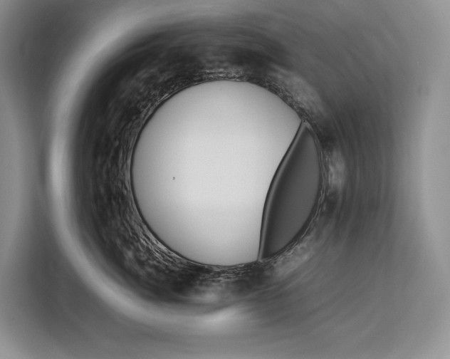 X0000113040764200909171521