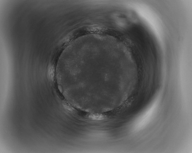 X0000113040767200909171521