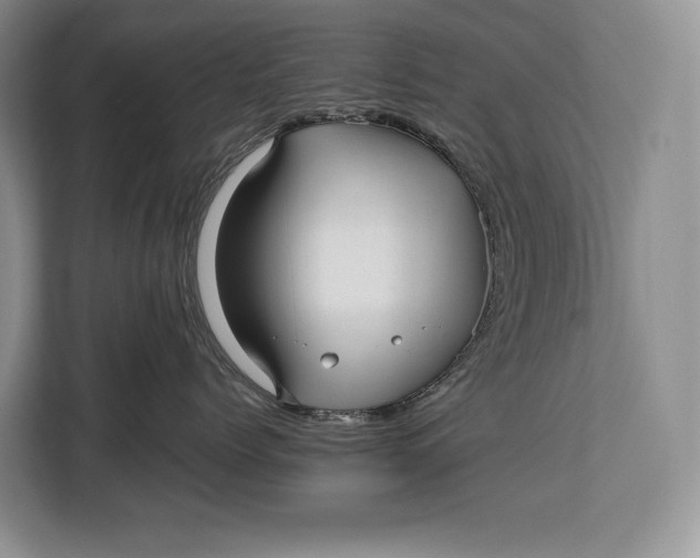 X0000113040768200909171521