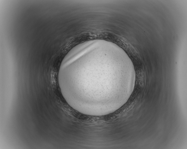 X0000113040770200909171520