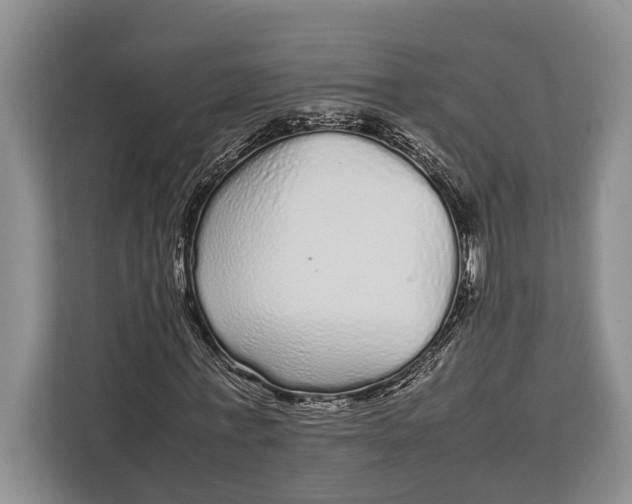X0000113040771200909171520