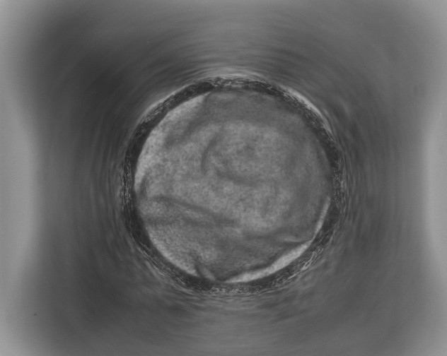 X0000113040775200909171520