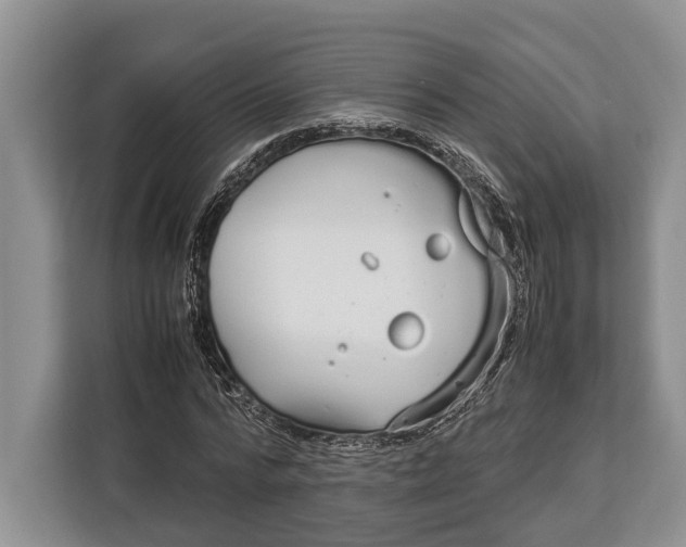 X0000113040776200909171520