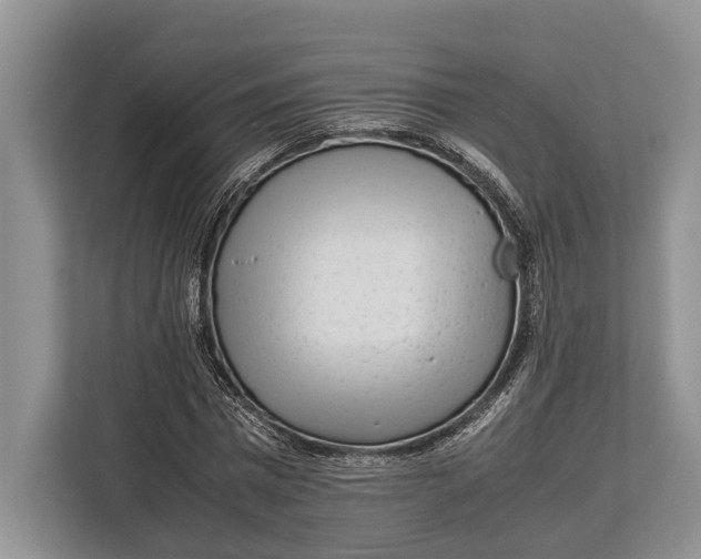 X0000113040777200909171520