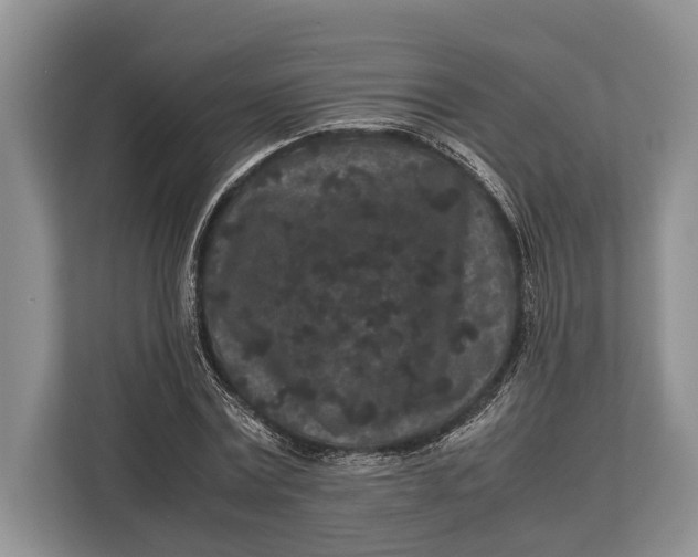 X0000113040779200909171520