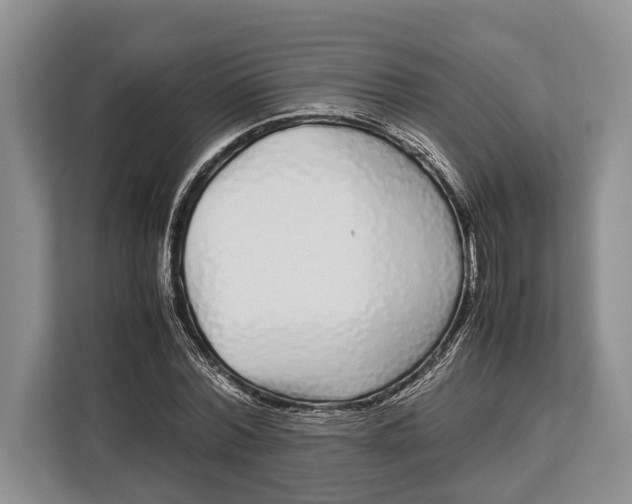 X0000113040780200909171520