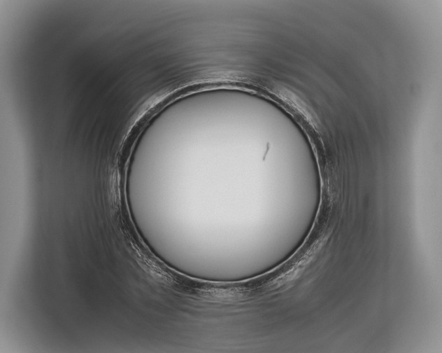 X0000113040781200909171520