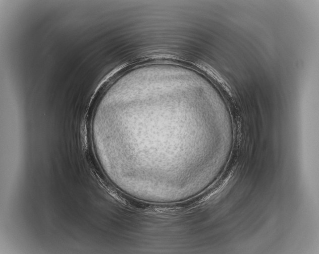 X0000113040782200909171520