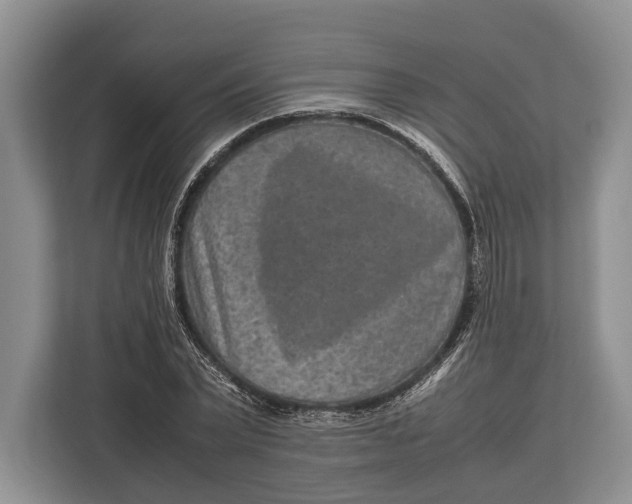 X0000113040783200909171520