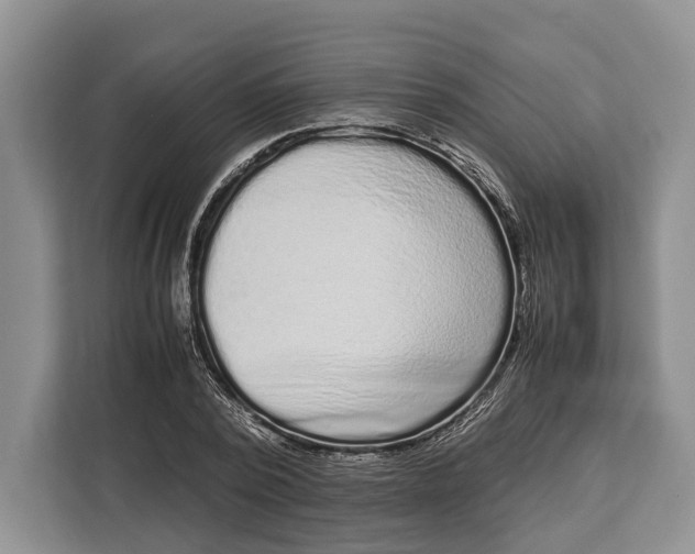 X0000113040784200909171520