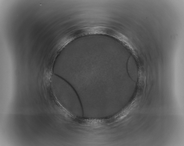 X0000113040785200909171520
