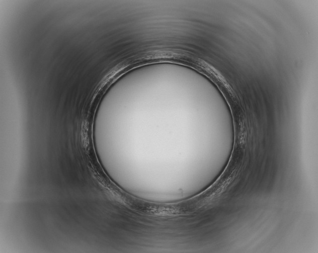 X0000113040786200909171520