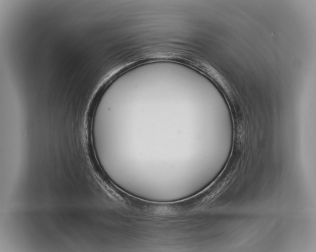 X0000113040787200909171520