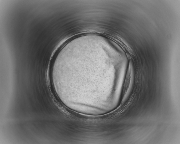 X0000113040788200909171520