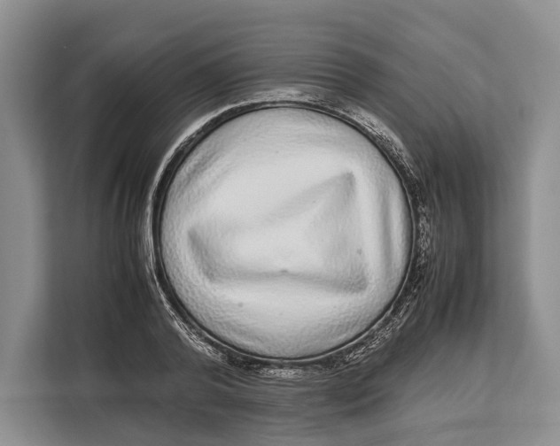 X0000113040792200909171520