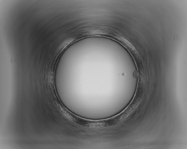 X0000113040793200909171520