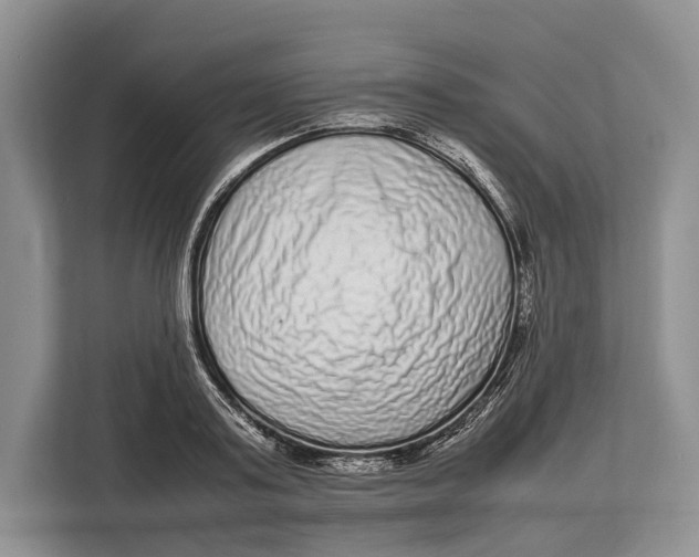 X0000113040795200909171520