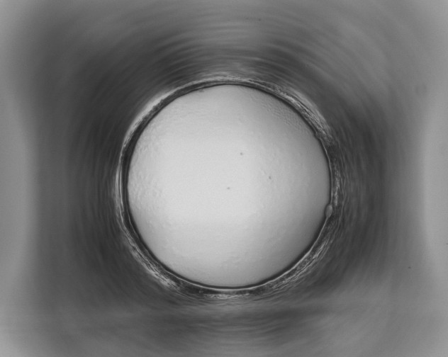 X0000113040796200909171520
