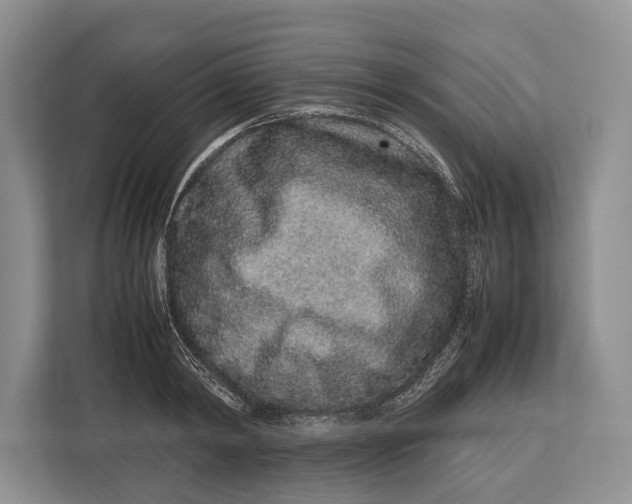 X0000113040798200909171520