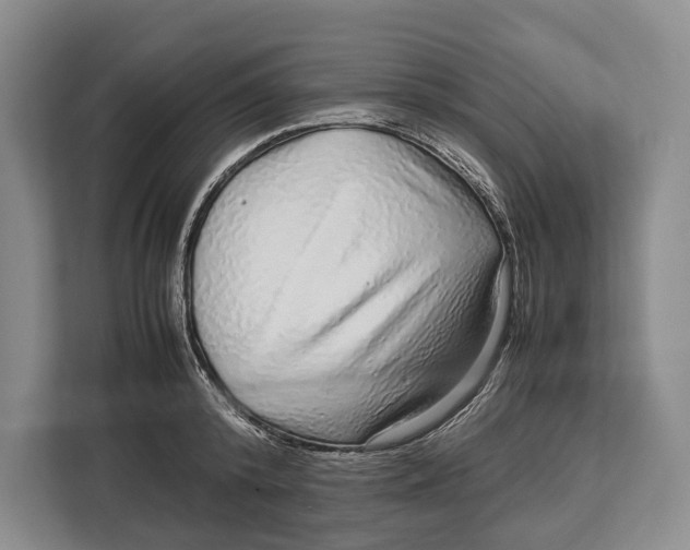 X0000113040800200909171520