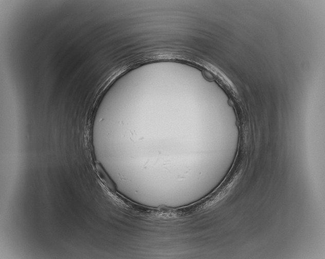 X0000113040801200909171520