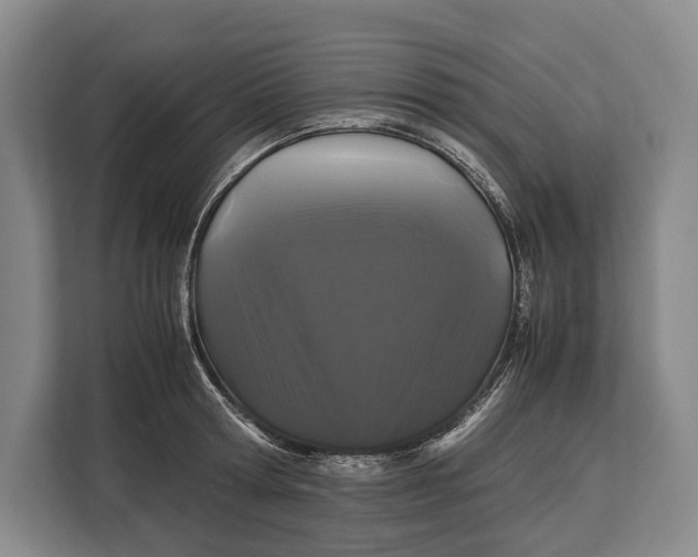 X0000113040802200909171520