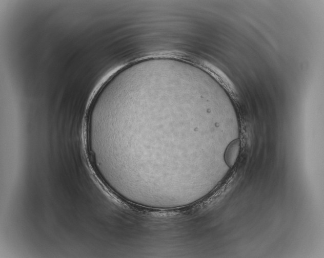 X0000113040804200909171520