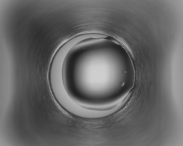 X0000113040805200909171520