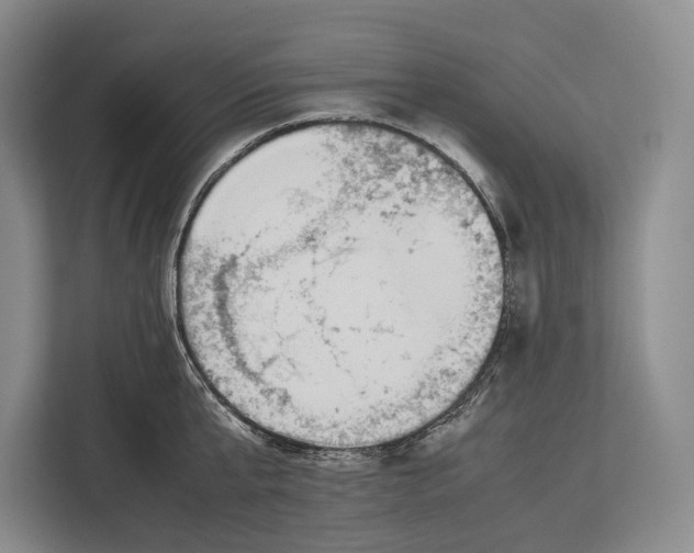 X0000113040807200909171520